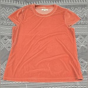 Madewell Velour Crewneck Tshirt Size Small